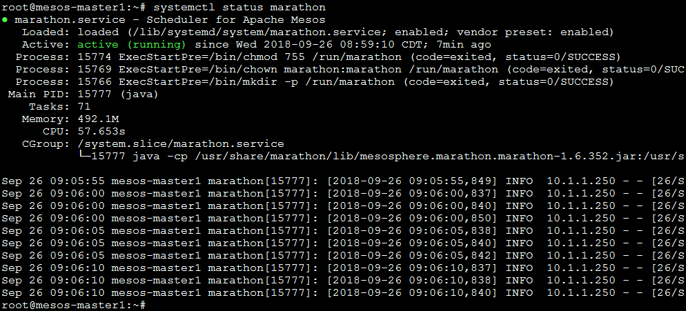 ../../_images/setup-master-check-service-marathon.png