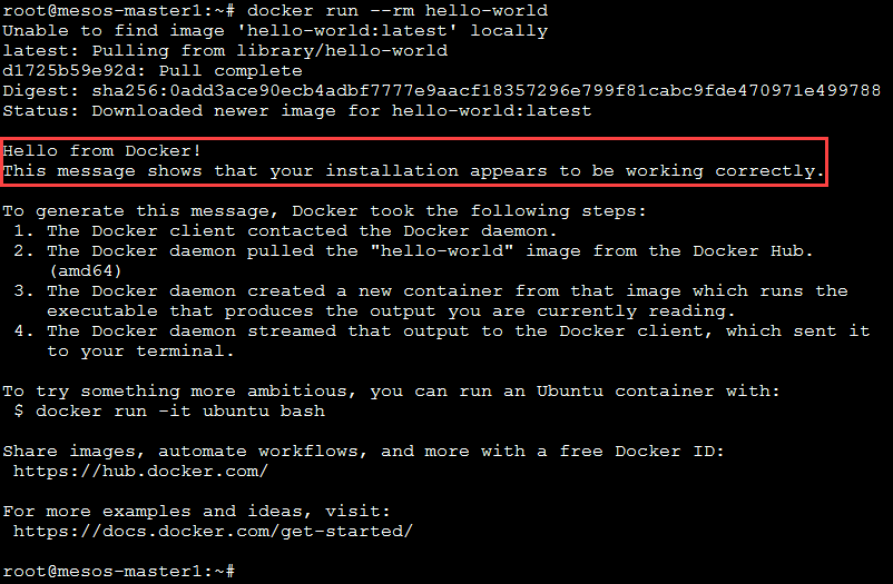 ../../_images/setup-test-docker.png