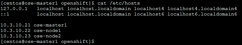 ../../_images/centos-hosts-file.png