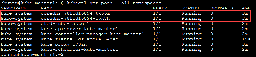 ../../_images/cluster-setup-guide-kubeadmin-init-check-cluster-get-pods.png