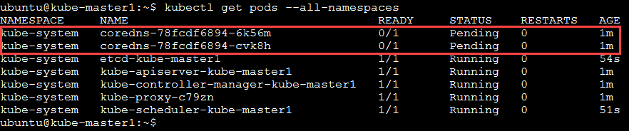../../_images/cluster-setup-guide-kubeadmin-init-check.png