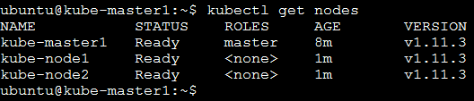 ../../_images/cluster-setup-guide-node-setup-check-nodes.png