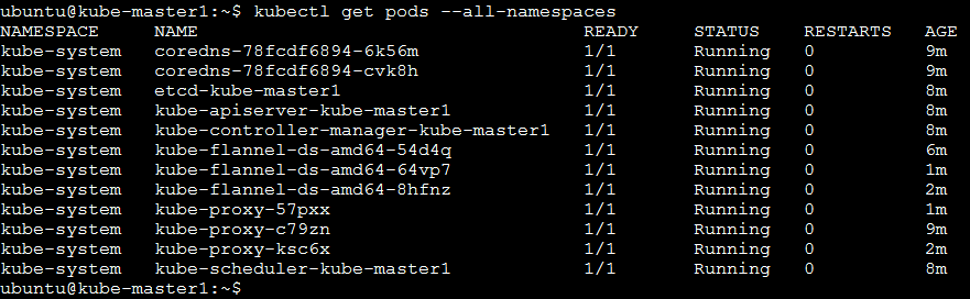 ../../_images/cluster-setup-guide-node-setup-check-services.png