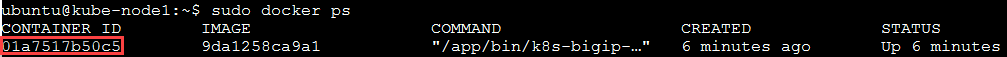 ../../_images/f5-container-connector-find-dockerID--controller-container.png