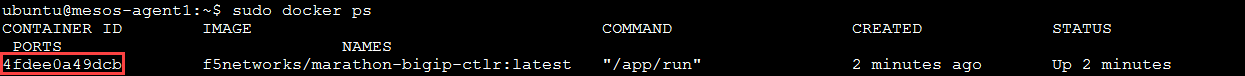 ../../_images/f5-container-connector-get-bigip-ctlr-container-id.png