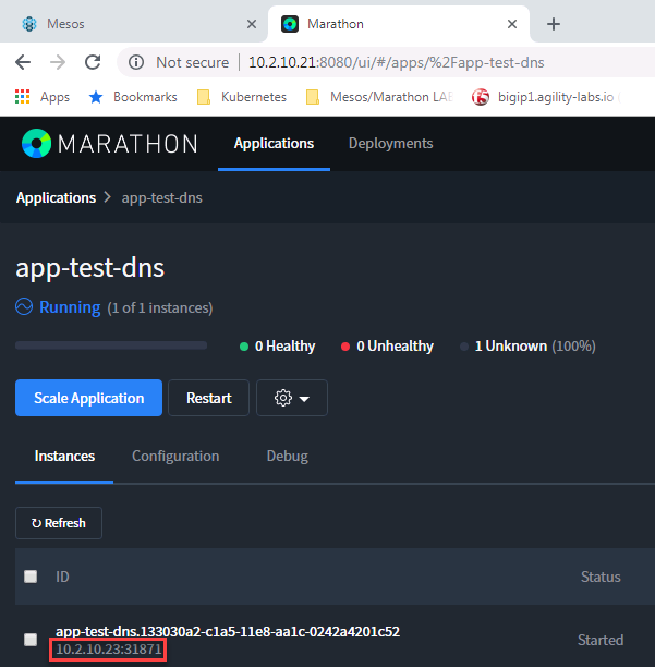 ../../_images/setup-mesos-dns-test-create-app.png